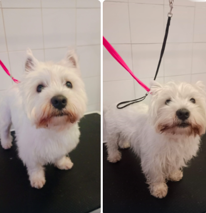 Antes y después del corte 1