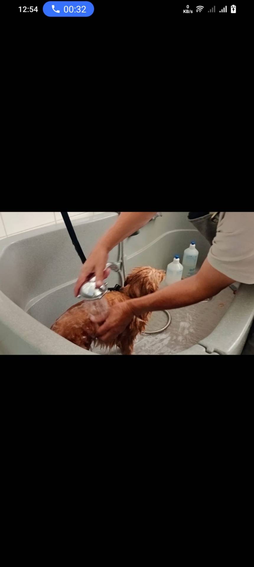 Baño canino 3